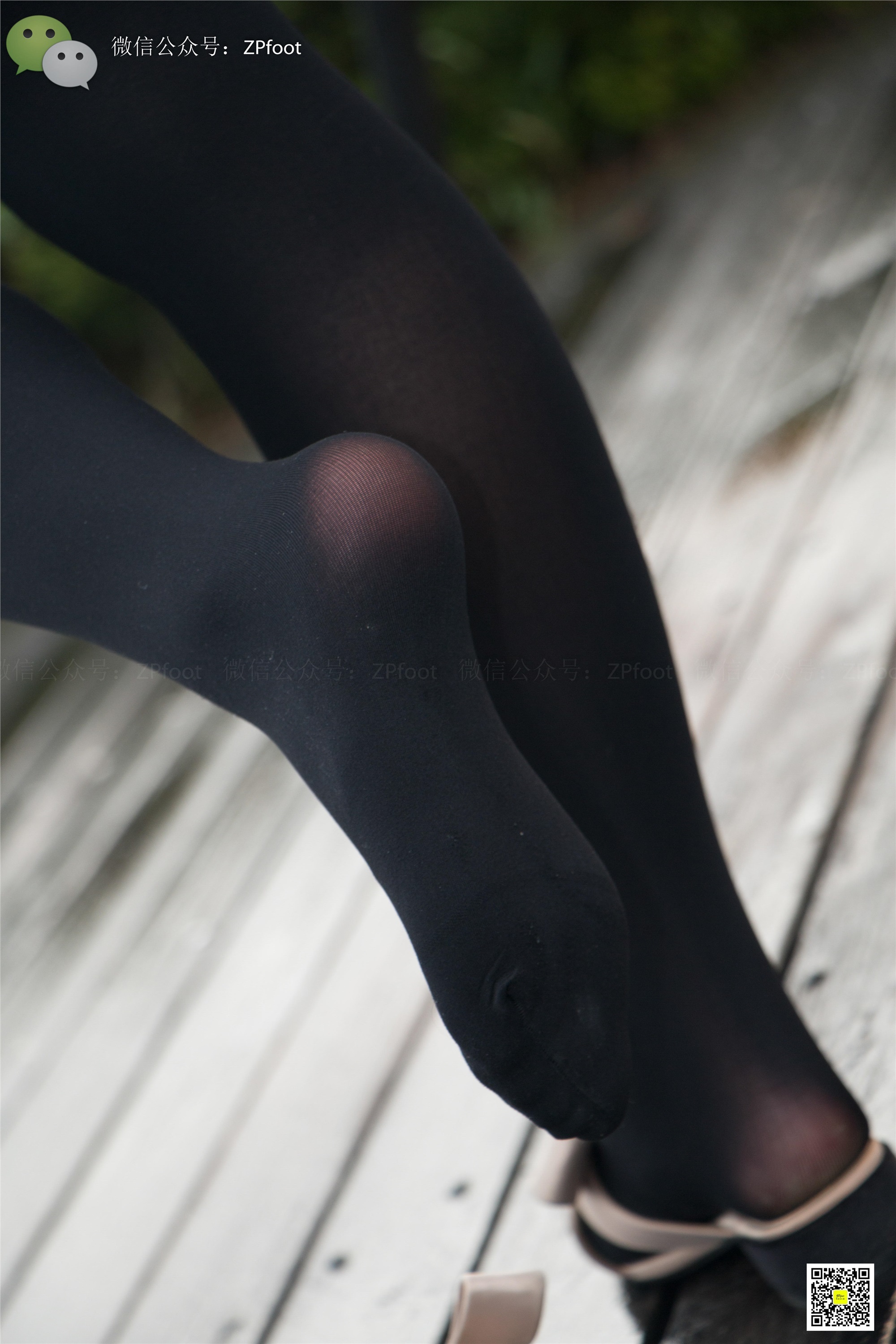 LSS山茶摄影 NO.013 芍药的厚黑丝